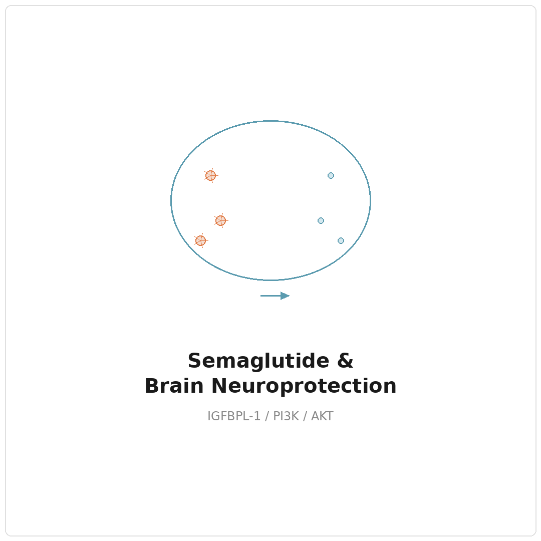 減重針不只瘦身：Semaglutide 如何讓大腦裡的免疫風暴安靜下來