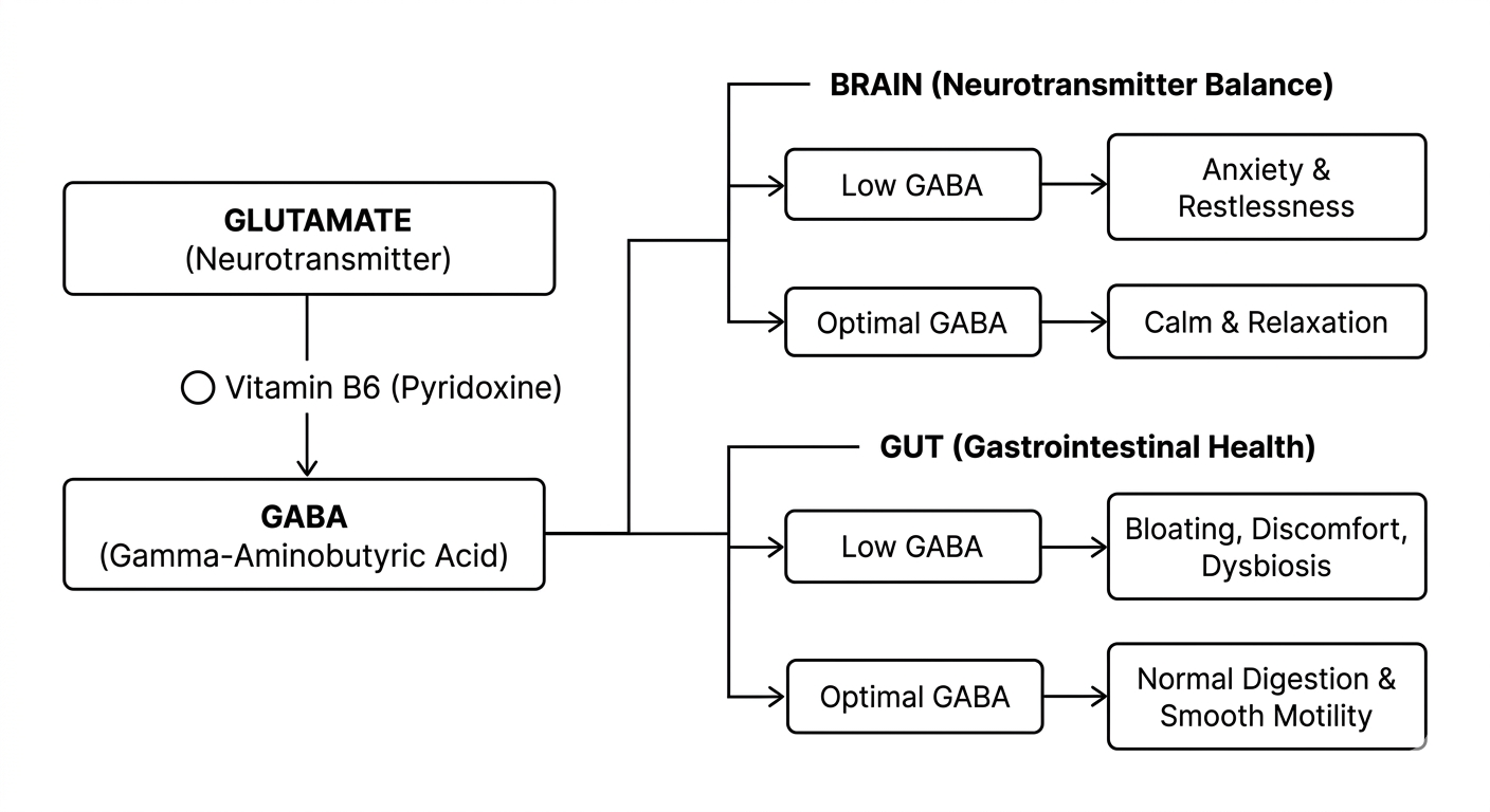 B6 gut-brain axis connection