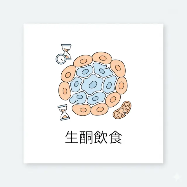 生酮飲食的暗面——你的細胞可能正在加速老化
