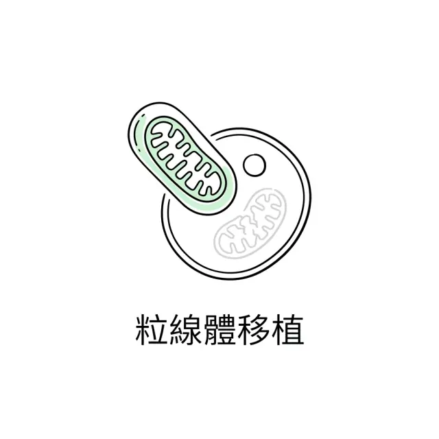 粒線體移植——直接修復細胞發電廠的突破性技術