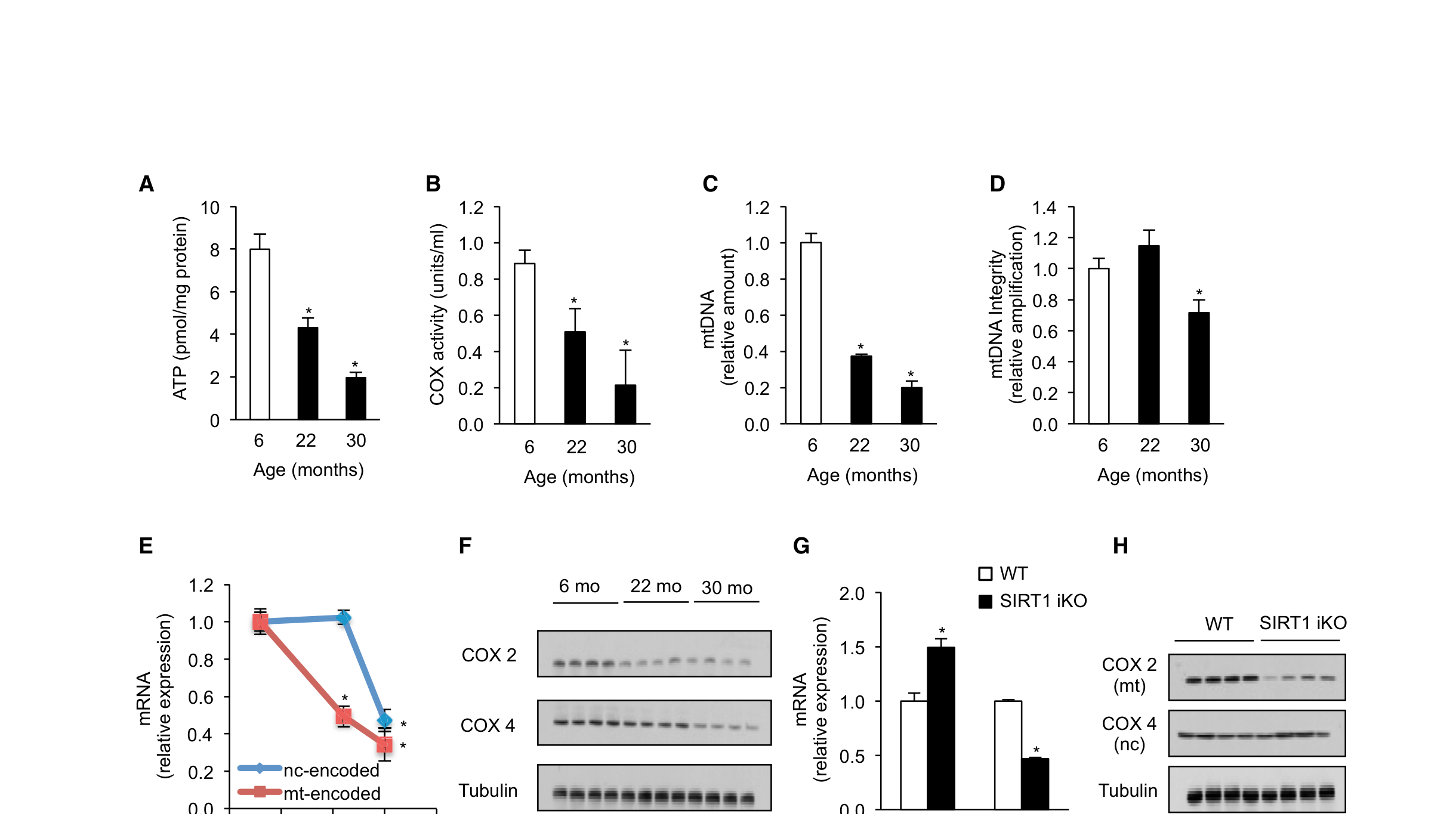 Gomes 2013 Figure 1