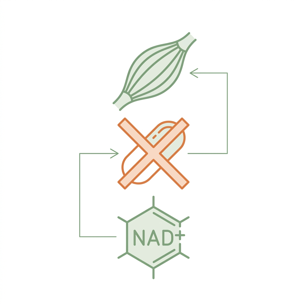 NAD+ 補充救肌肉？2025 年兩篇重磅論文打臉主流敘事