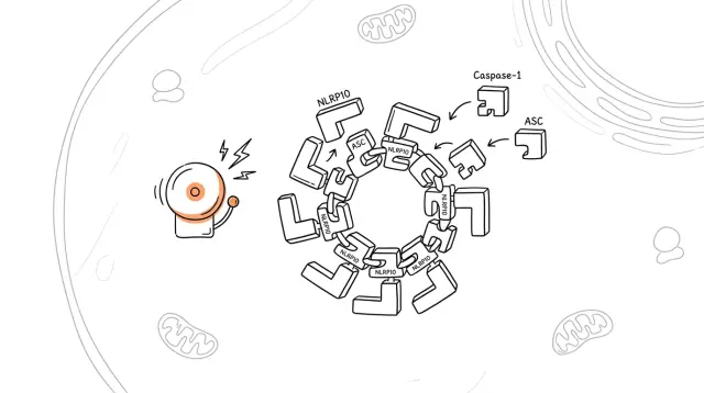 Your DNA Gets Attacked Thousands of Times Daily — Why Haven't You Turned Into Cancer?