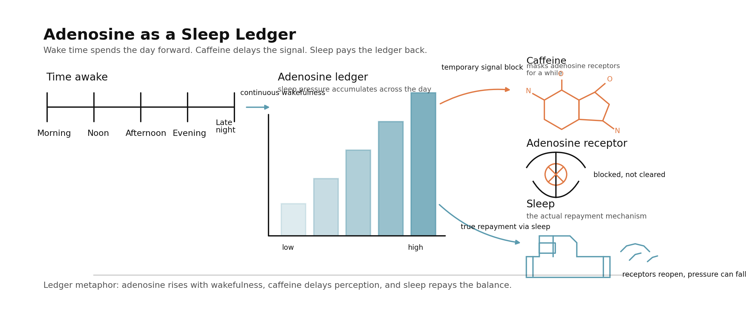 adenosine-ledger