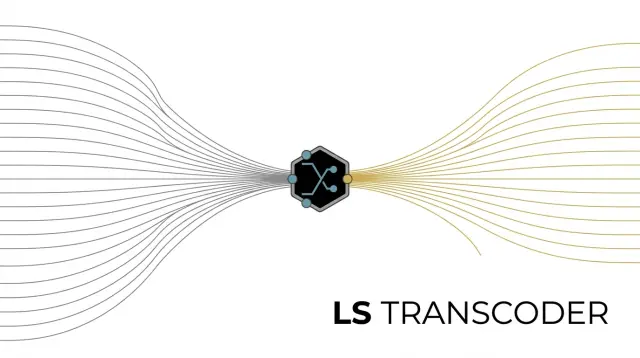 LS Transcoder: A Unified Gateway for Multi-LLM API Access