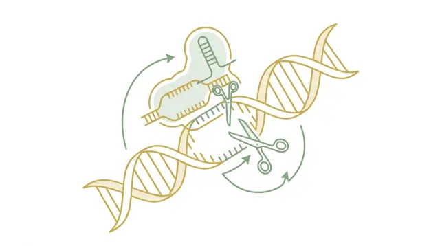 ScienceClaw